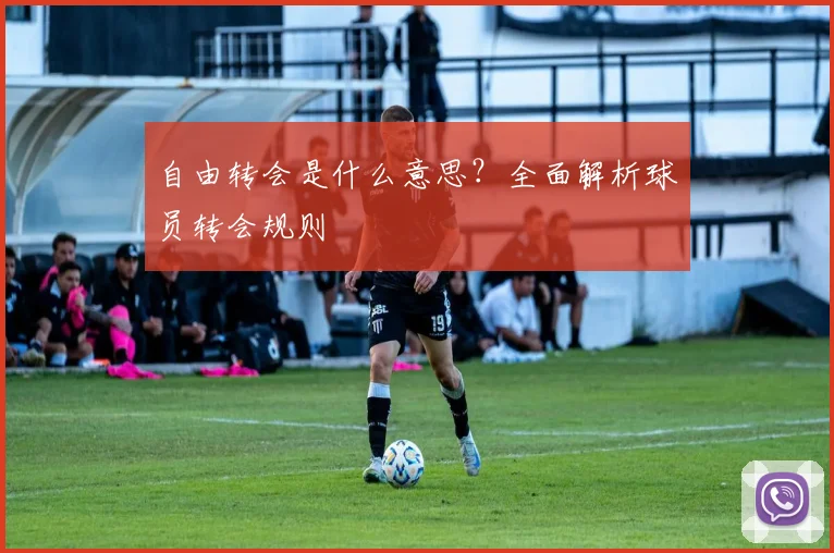 自由转会是什么意思？全面解析球员转会规则