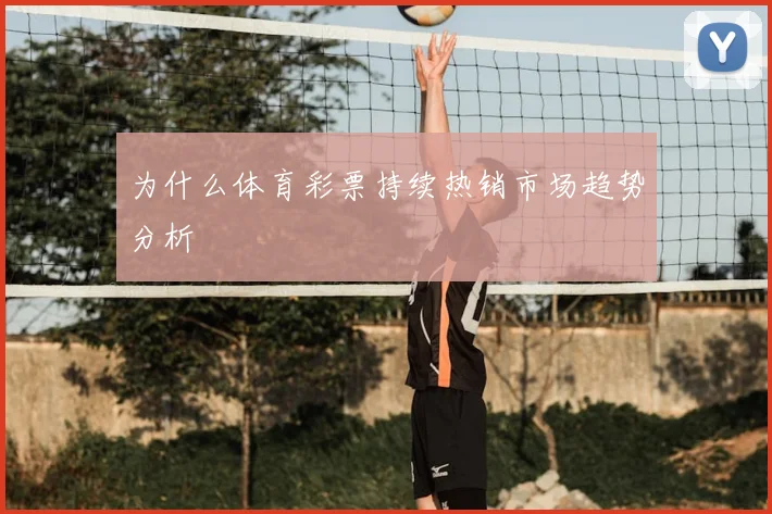 为什么体育彩票持续热销市场趋势分析